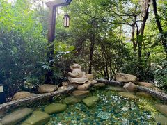 -天目湖涵田半山温泉