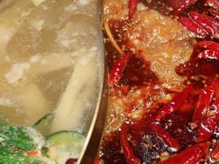 红白鸳鸯锅-小龙坎火锅(唐冶店)