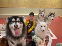-和它·交个朋友·狗咖猫咖(爱琴海店)