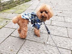 -杭州半山国家森林公园