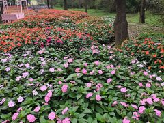 -沈阳植物园