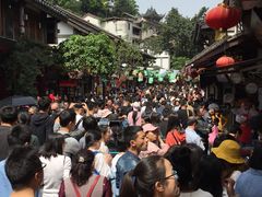 -胖娃古镇鸡杂(磁器口总店)