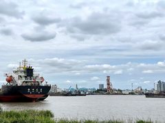 -上海共青森林公园