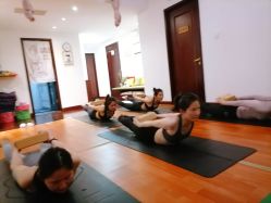 -Yvon yoga 瑜伽·精准体态管理中心