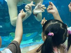 -苏州海洋馆