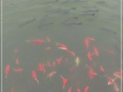 -迎泽公园