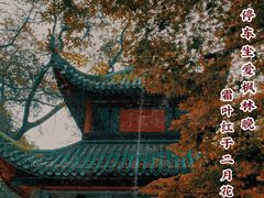 -岳麓山风景名胜区