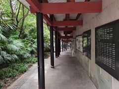 -白沙古井