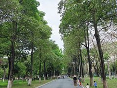 -海珠湖公园