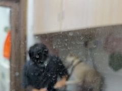 -瑞鹏宠物医院·普外科·影像科·皮肤科(城市山谷分院)