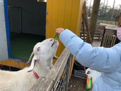 -前小桔亲子创意农场·草莓采摘·露营烧烤