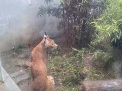 -成都动物园
