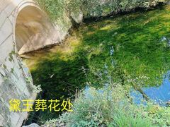 -拙政园