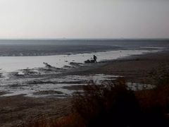 -大港湿地公园