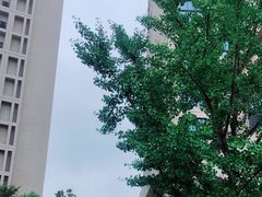-EVE格斗健身工作室(周康店)