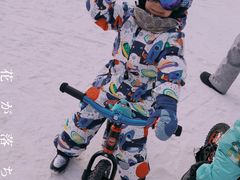 -东北亚滑雪场