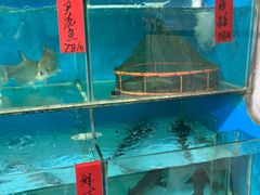 -海大大蒸汽海鲜餐厅·粤菜·特色小炒(欢乐颂店)
