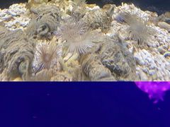 -西安曲江海洋极地公园