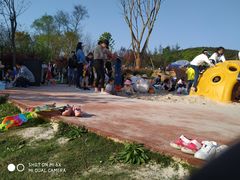 -铁山坪森林公园