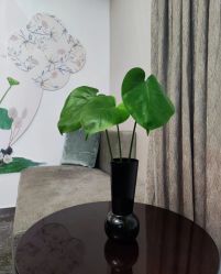 -安琪朵朵独栋花园月子中心