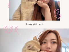 -有喵·猫咖·狗咖·30几只猫10只小狗(岗厦店)