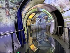 -房山世界地质公园博物馆