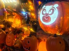 -郑州方特梦幻王国