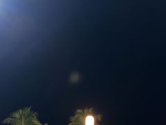 -渔家火锅·海鲜自助餐·演艺(亚龙湾天域酒店)