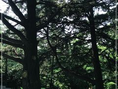 -大连植物园