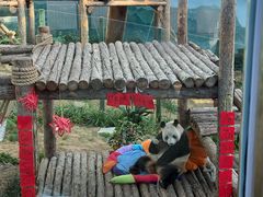 -大连森林动物园