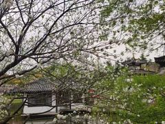 -南山风景名胜区