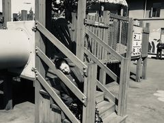 -羊亭河湿地公园