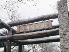 -杭州植物园