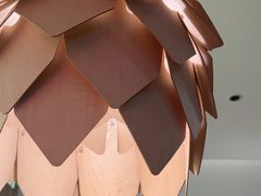 -大丰收脆鱼(浦西万达店)