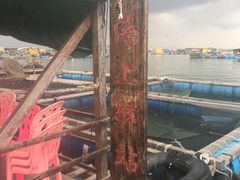 -海上驿站渔家菜馆