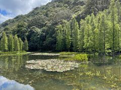 -广州市石门国家森林公园
