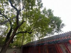 -北坞公园