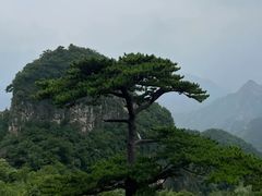 -圣莲山风景区