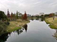 -眉山湿地公园(东坡区)
