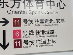 -东方体育中心(地铁站)