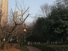 -木塔寺遗址生态公园