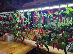 -望京一号·重庆江湖菜(工体店)