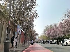 -天津五大道文化旅游区