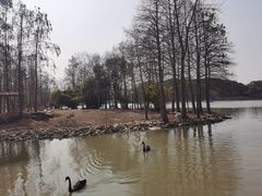 -上海野生动物园