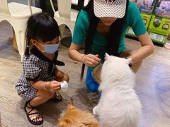 -小时光咖啡馆(开森度假森林店)