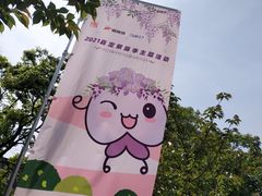 -嘉定紫藤园