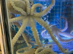 -江南村海鲜馆(洞头店)