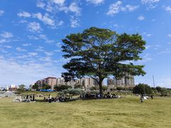 -风云岭森林公园