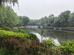 -云岗森林公园