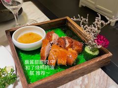 玻璃烧鸭-汤城·料青山